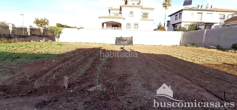 Foto da20f9f4-235d-42b9-a8e2-15bc79b22bb8. Terreny residencial a Linarejos Linares