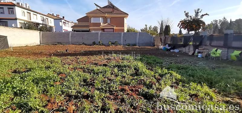 Foto e2ac1b12-f1c5-438c-995a-ecfb326fa118. Terreny residencial a Linarejos Linares