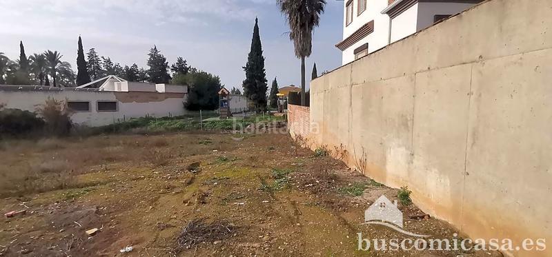 Foto 6684d6e3-79af-4a21-9546-b1fd62744d91. Terreny residencial a Linarejos Linares