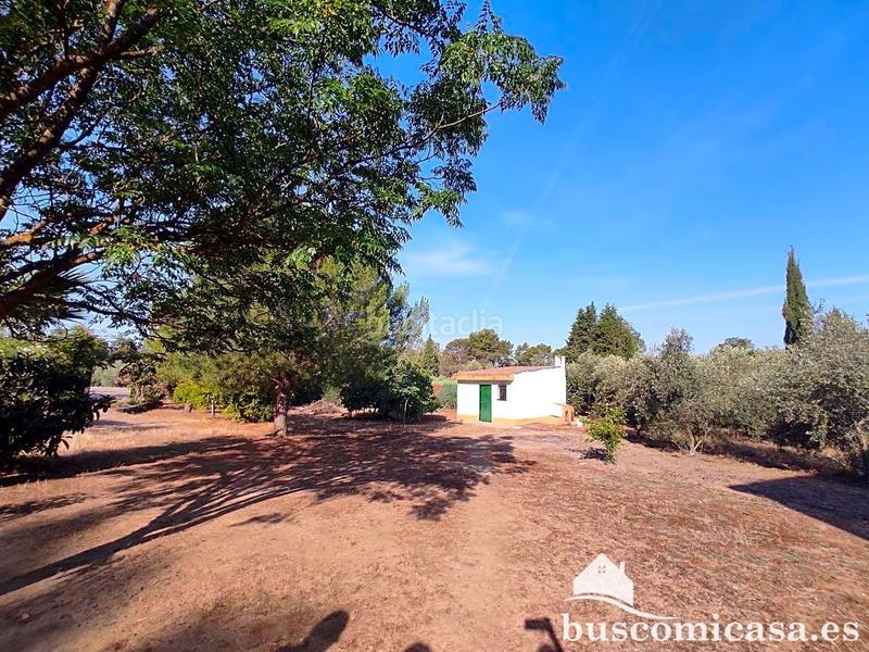 Foto 3f25feb4-a3d7-4f84-8cd2-ad4cea1c1d2d. Masía vivienda en urbanización san roque, . en San Roque - La Cruz - La Rozuela Linares