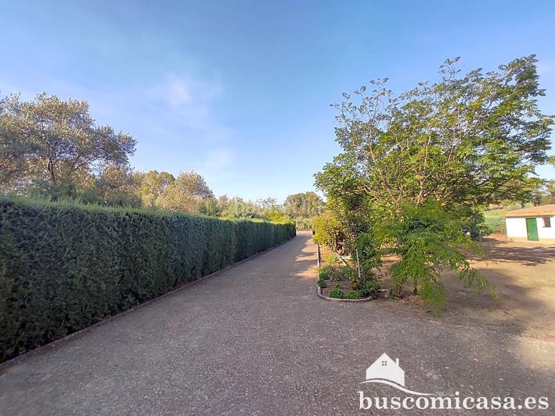 Foto e7062fb7-5737-439e-8a06-f6f071d3135b. Masía vivienda en urbanización san roque, . en San Roque - La Cruz - La Rozuela Linares