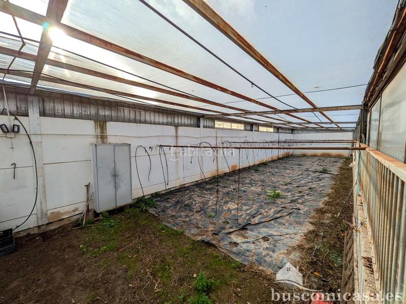 Foto 451a768f-72b1-4195-901a-36b953f24e82. Casa amb calefacció aparcament piscina a San Roque - La Cruz - La Rozuela Linares