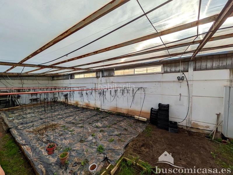 Foto f8a3fdf9-5cd6-4639-9881-bfc46db48e3e. Casa amb calefacció aparcament piscina a San Roque - La Cruz - La Rozuela Linares