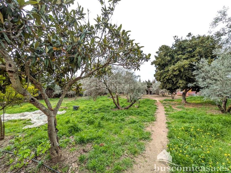 Foto 9c330f12-5f1e-4c75-b502-90d091176c54. Masia amb piscina a San Roque - La Cruz - La Rozuela Linares