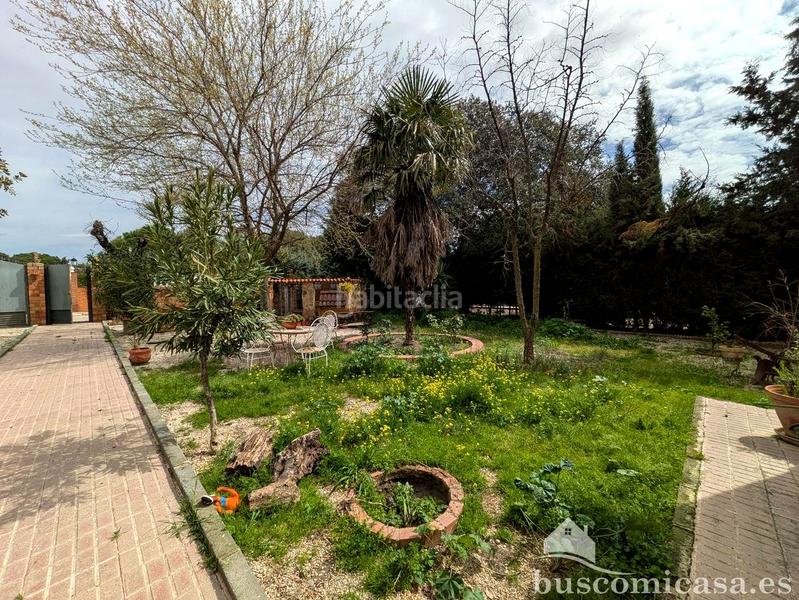 Foto b9ed9bb0-30ff-4f46-9fd0-3884e7c4ffb0. Masia amb piscina a San Roque - La Cruz - La Rozuela Linares