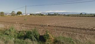Propriété  Isaac peral. Terreno rústico con cultivo de regadío