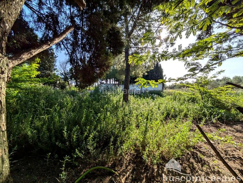 Foto 6afc7096-0b62-4f83-a3b1-5b5aa7da93ac. Casale con piscina in Zona Hospital Linares