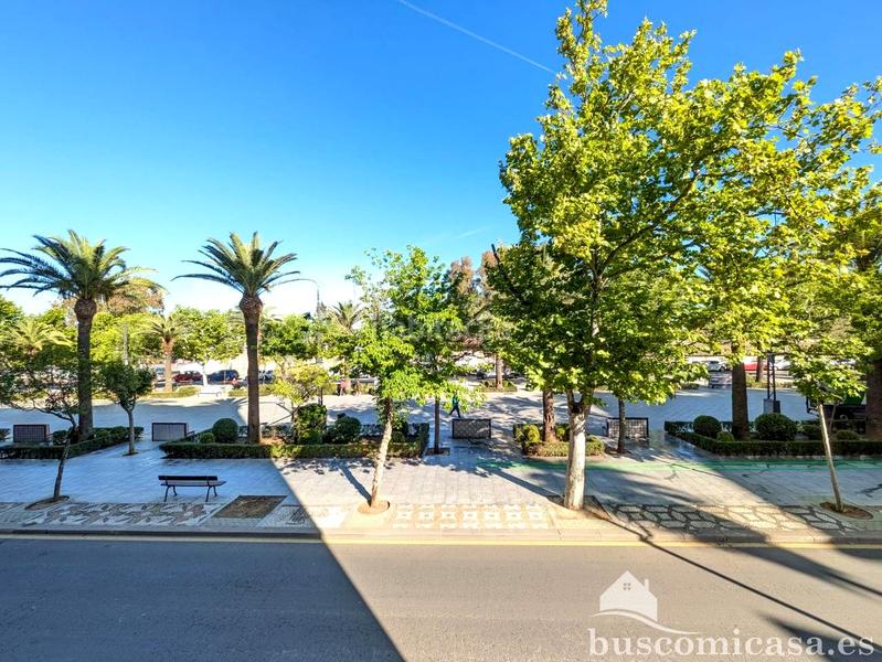 Foto b3baa07d-3f8f-4b73-bb23-50b83c596910. Pis a Linarejos Linares