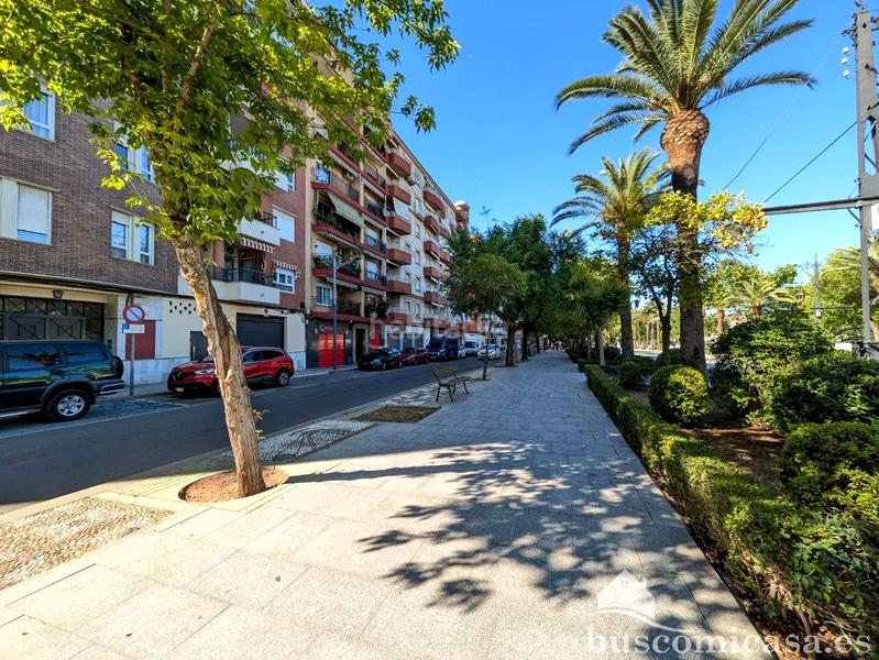 Foto c6df1fd4-40b4-4e4b-8b4f-fd459d705a3b. Pis a Linarejos Linares