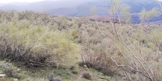 Finca rústica  Acequia de la cara. Terreno rústico en ugijar