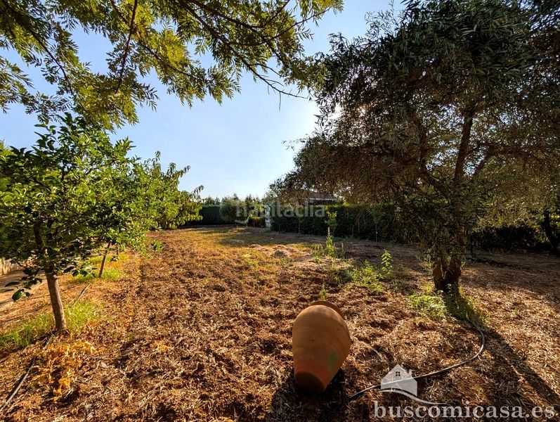 Foto 5a7c07e2-5fb6-44d6-8889-2909c13440ed. Casa amb aparcament piscina a San Roque - La Cruz - La Rozuela Linares