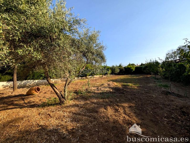 Foto b0056901-26e4-4069-86e6-eb49411319fb. Casa amb aparcament piscina a San Roque - La Cruz - La Rozuela Linares