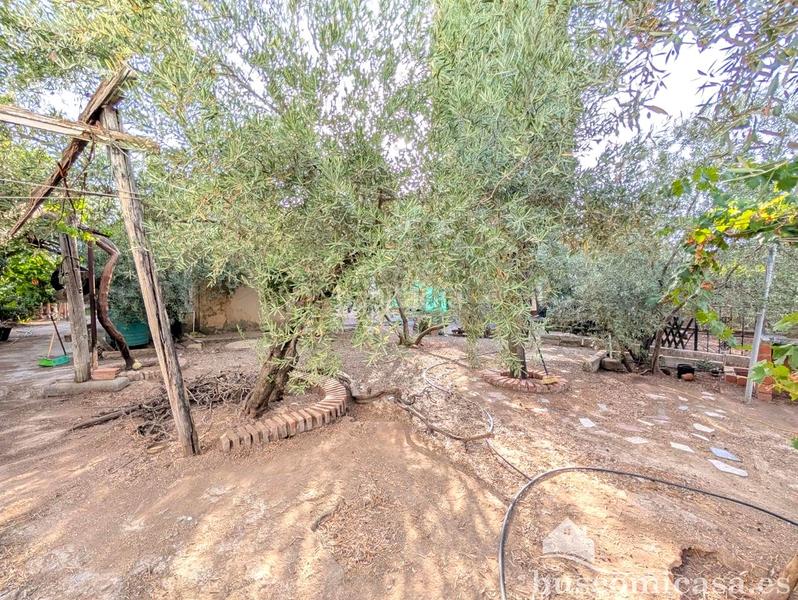 Foto 53593d6f-f0ab-44c9-b523-bebabce19fd3. Casale con piscina in San Roque - La Cruz - La Rozuela Linares