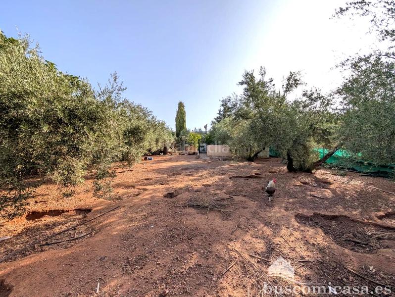 Foto 8e5a313f-b051-434e-986c-304833b17592. Casale con piscina in San Roque - La Cruz - La Rozuela Linares