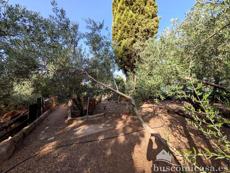 Foto 8ef72267-91fa-44b3-a2cc-bace95e4c6c4. Casale con piscina in San Roque - La Cruz - La Rozuela Linares