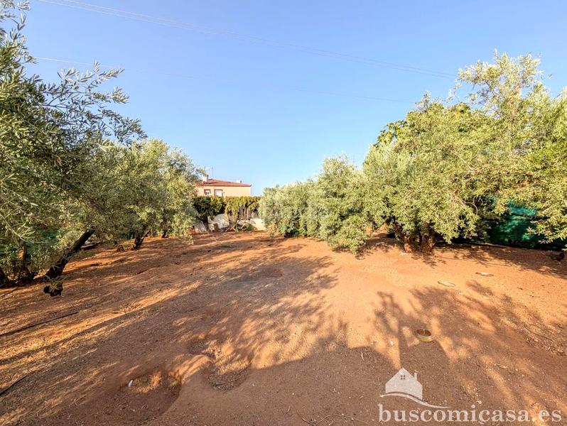 Foto a07d6015-548a-4fff-9457-0d156bd9333c. Casale con piscina in San Roque - La Cruz - La Rozuela Linares