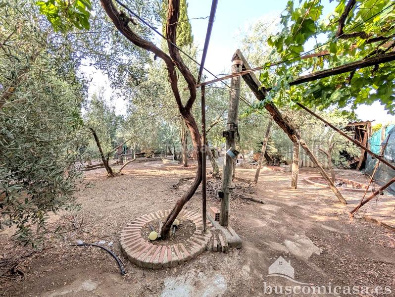 Foto e6362aa3-dab8-49ee-822e-c9c98568cc1b. Casale con piscina in San Roque - La Cruz - La Rozuela Linares