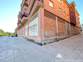 Business premise in De Andalucía