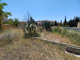Finca rústica  De cortes de baza. Gran oportunidad en cortes de baza granada!