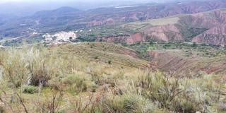 Rural plot  Cortijo la cara. Terreno rústico en venta en ugíjar granada