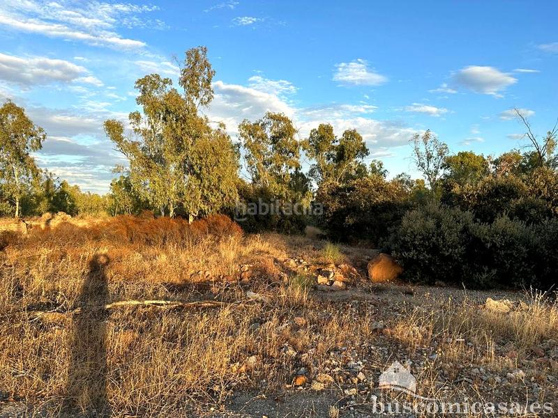 Foto 09a72c91-8afa-401a-b50b-77b9e8a1e8b2. Terreny residencial a San Roque - La Cruz - La Rozuela Linares