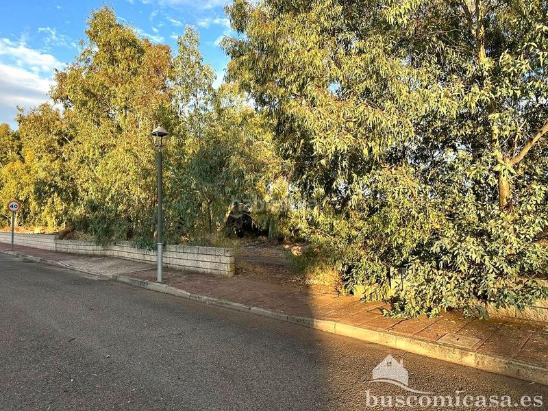 Foto 409adde1-75e3-498e-a8de-1b01ca827562. Terreny residencial a San Roque - La Cruz - La Rozuela Linares