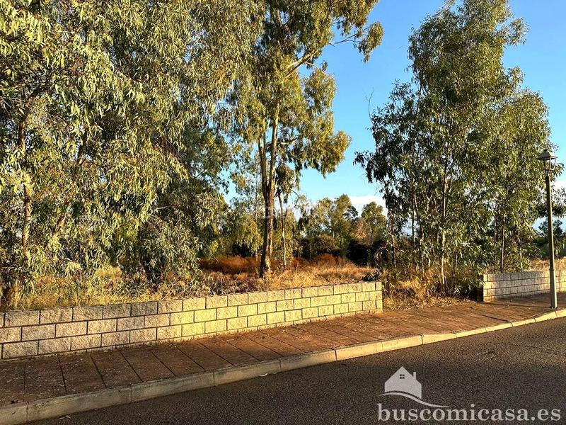 Foto 7b7d10e7-e0f0-46b3-9d39-5ec2fdcb69d7. Terreny residencial a San Roque - La Cruz - La Rozuela Linares