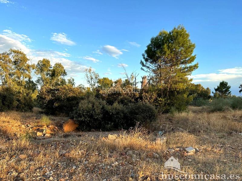 Foto 7f571925-e2e7-49da-874c-e16648a680d5. Terreny residencial a San Roque - La Cruz - La Rozuela Linares