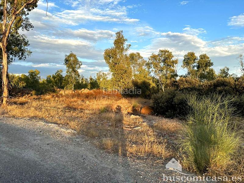 Foto 991ed544-14f2-43b9-81b5-cf51d8cfeb2c. Terreny residencial a San Roque - La Cruz - La Rozuela Linares