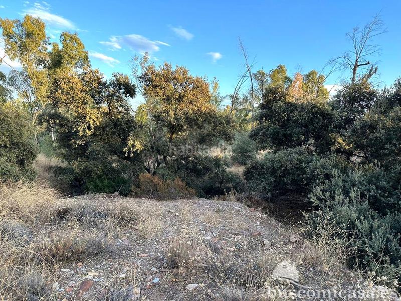 Foto 9e42d9ec-2f5b-4f97-b695-a16ba9b5cb48. Terreny residencial a San Roque - La Cruz - La Rozuela Linares