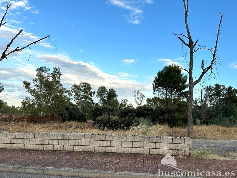 Foto d7b957b5-ce5c-413d-82a8-f5ee459f9029. Terreny residencial a San Roque - La Cruz - La Rozuela Linares