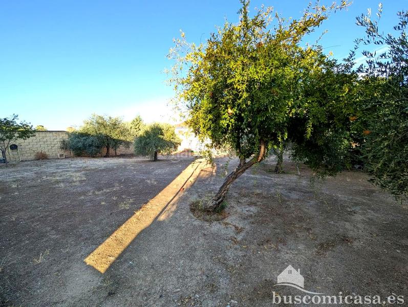 Foto 93aa25bb-1174-4a88-b695-47742dd5b809. Masia amb aparcament piscina a San Roque - La Cruz - La Rozuela Linares