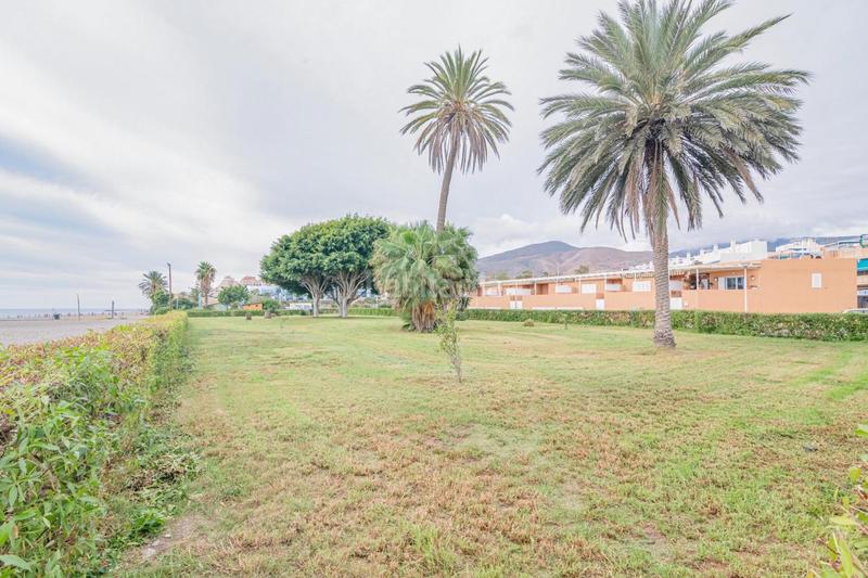 Foto 3aa6e6be-1874-48c4-a4e6-6f8aa9b2e756. Pis a Lújar