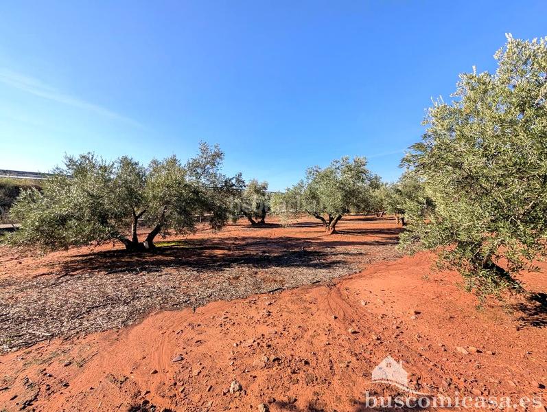 Foto 87e1fbb8-3fb3-4682-a269-3685989477d4. Haus mit heizung parking pool in Centro ciudad Linares