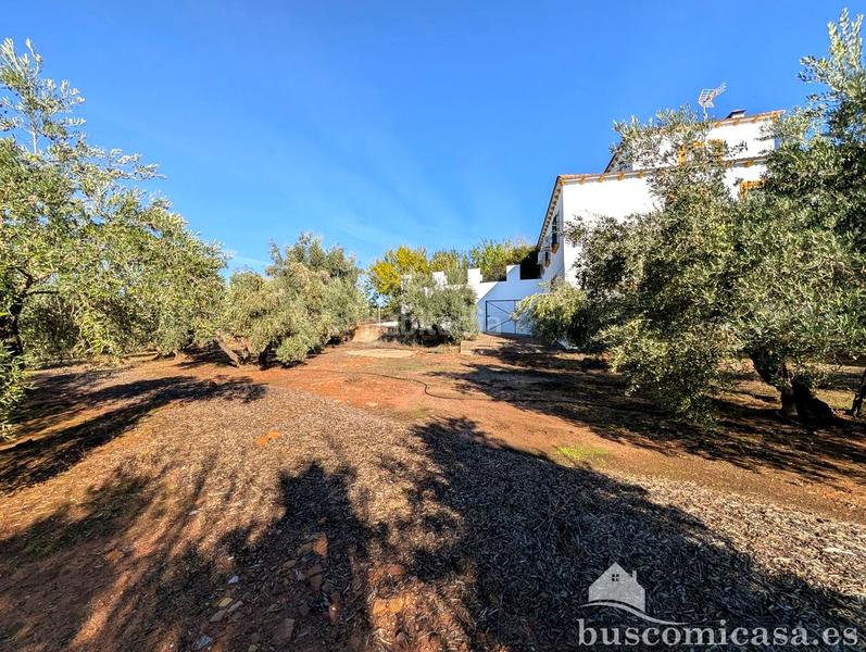 Foto a6d9e896-e365-4fc0-8612-a982ab499bb9. Haus mit heizung parking pool in Centro ciudad Linares