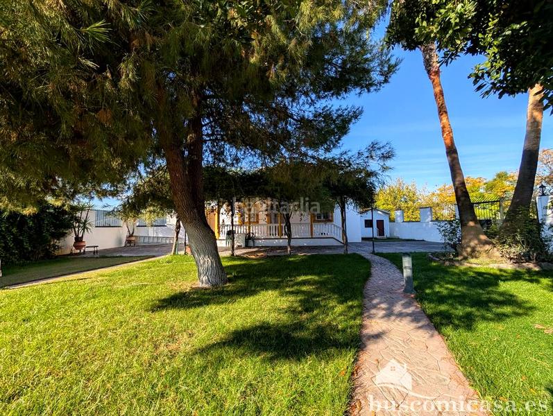 Foto e8b979ae-a7ea-4c7d-aa40-2c8ab8c2c321. Haus mit heizung parking pool in Centro ciudad Linares