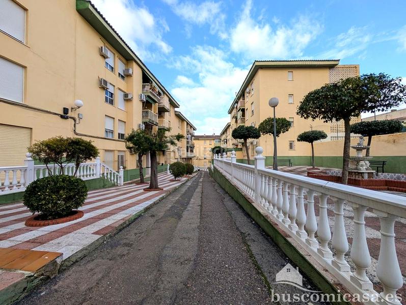 Foto 24f629c1-2fae-483f-bb25-51c46c0dc404. Piso  en urbanización los girasoles. en Centro ciudad Linares