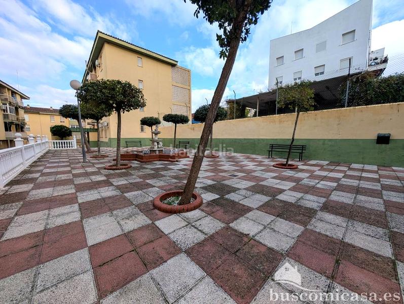 Foto 2d80e1c9-adf7-4689-80b3-c3b0a6a99287. Piso  en urbanización los girasoles. en Centro ciudad Linares