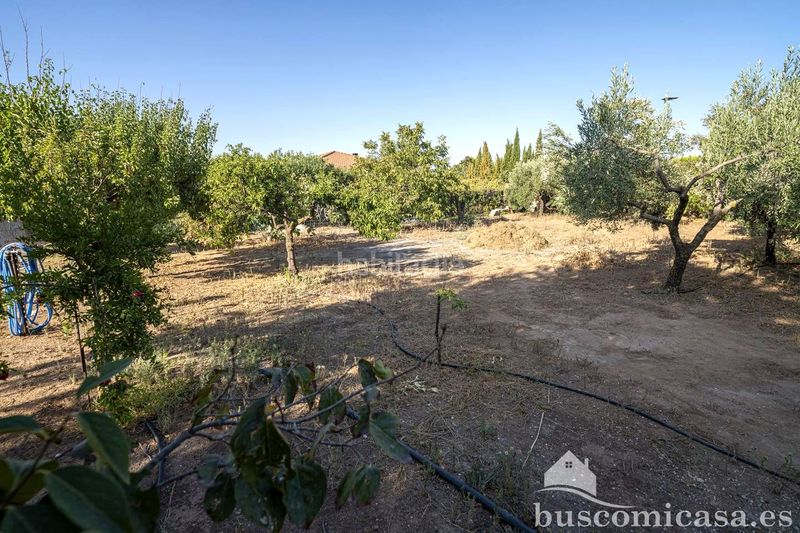 Foto 6a2beb7d-672c-449e-b12d-f4d023f1b000. Casa amb calefacció piscina a San Roque - La Cruz - La Rozuela Linares
