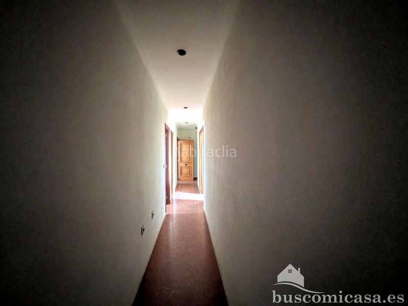 Foto b55427f4-1b27-4365-aa88-98cea38aa064. Pis a Mengíbar