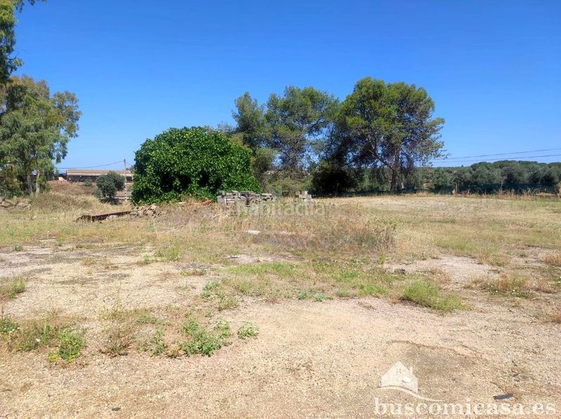 Foto 19e60846-fc69-42b6-8482-98d8343b746d. Finca rústica a La Zarzuela - San José - Belén Linares
