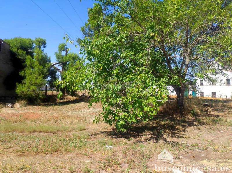 Foto dd67b0e6-c647-4fea-9c16-7f0218cdc9b6. Finca rústica a La Zarzuela - San José - Belén Linares