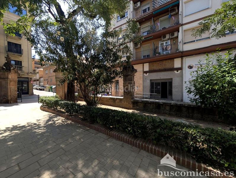 Foto 2a7d0df2-7f21-4343-84bf-a203d0063cad. Pis a Centro ciudad Linares
