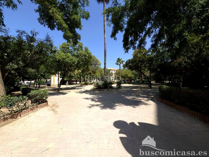 Foto cecee210-6a80-4177-affd-00aef78d08d0. Pis a Centro ciudad Linares
