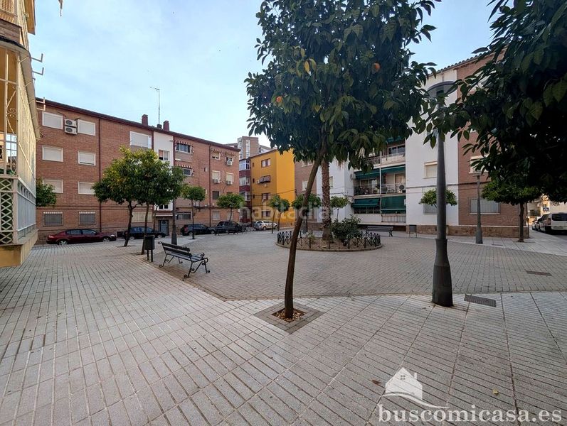 Foto e1cff81a-6bef-48ac-a251-78349dc4d64c. Pis a Linarejos Linares