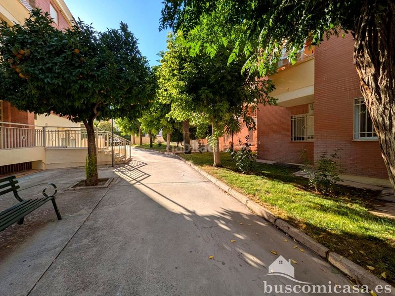 Foto 460e3810-40a0-416f-b612-56cc6a49bc99. Rent ground floor in San Gonzalo Linares