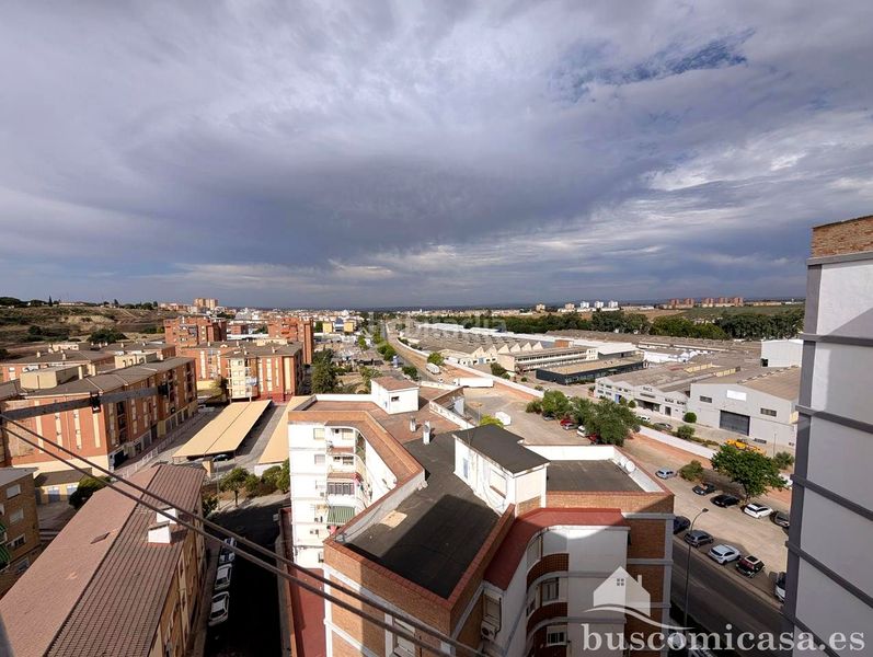 Foto 09f4d728-617b-4b6c-bf7c-39a34a68203c. Pis a Linarejos Linares