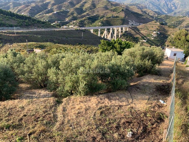 Foto aab9a2bf-f48d-4aa0-9ee9-d0686b58e93a. Masia a Almuñecar centro Almuñécar