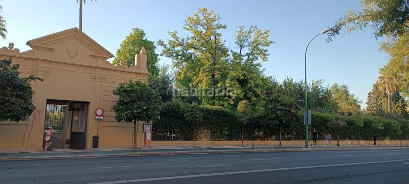 Foto dc8975a7-aa2b-4f2b-ac09-870f45be5d25. Lloguer pis a San Carlos - San José Sevilla