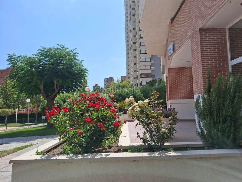 Foto 0359fd0f-6f20-4dc9-a24f-4d0744f18744. Pis amb aparcament piscina a Juzgados - Plaza de Toros Benidorm